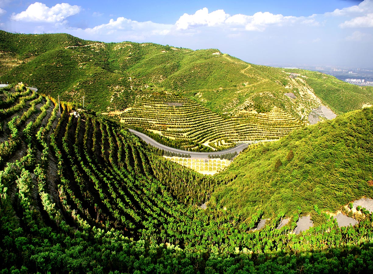 太原市天龍山景區(qū)提質(zhì)景觀配套綠化工程【康培集團(tuán)】