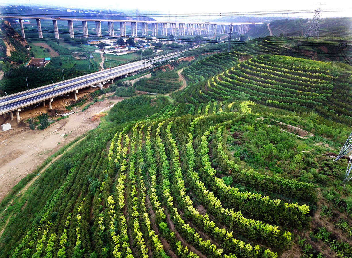 太原市陽(yáng)興大道山體恢復(fù)工程